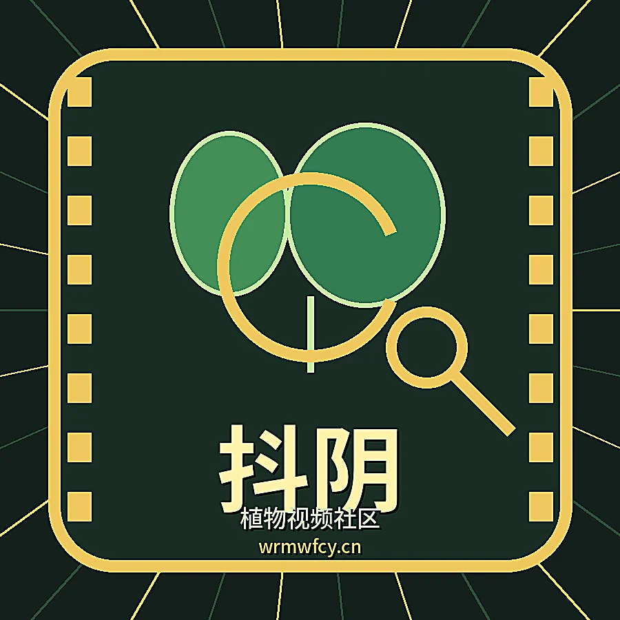 抖阴